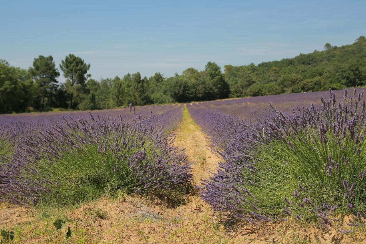 Les Yourtes De Provence Bed & Breakfast Saint-Paulet-de-Caisson Exterior photo